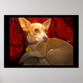 Poster GiGi (Devant)