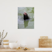 Poster Gimme Fish...MAINTENANT (Cuisine)