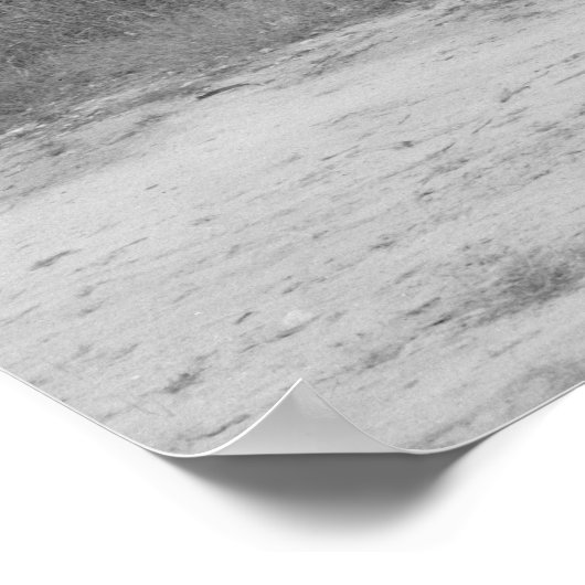 Poster Gin de coton (Coin)