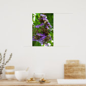 Poster Gingembre bleu (Cuisine)