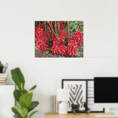 Poster Gingembre de cire indonésien (Bureau à domicile)