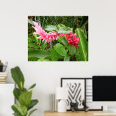 Poster Gingembre hawaïen (Bureau à domicile)