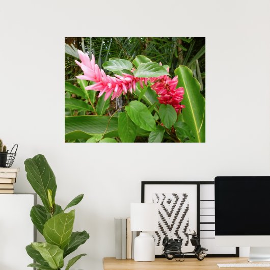 Poster Gingembre hawaïen (Bureau à domicile)