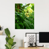 Poster Gingembre jaune hawaïen (Bureau à domicile)
