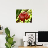 Poster Gingembre Torchon Rouge Fleur Tropicale Photograph (Bureau à domicile)