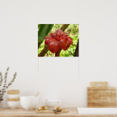 Poster Gingembre Torchon Rouge Fleur Tropicale Photograph (Cuisine)