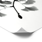 Poster Gingko Biloba Feuillage en noir et blanc (Coin)