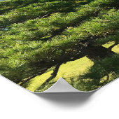 Poster Ginkgo jaune doré et pin (Coin)