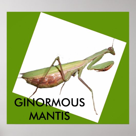 POSTER GINORMOUS MANTIS (Devant)