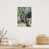 Poster Girafe (Cuisine)