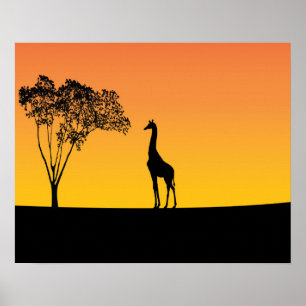 Poster Girafe