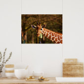 Poster Girafe (Cuisine)
