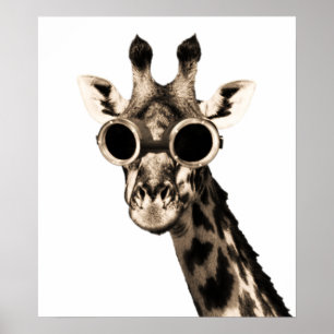 Poster Girafe avec des lunettes de lunettes de soleil de