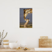 Poster Girafe embrassant un bébé girafe (Cuisine)