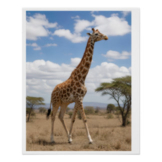 Poster Girafe majestueuse marchant à travers la savane af
