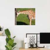 Poster Girafe nouveau-né (Bureau à domicile)