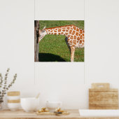 Poster Girafe nouveau-né (Cuisine)