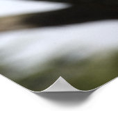 Poster Girafe réticulée, San Francisco (Coin)