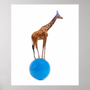 Poster Girafe sur le ballon
