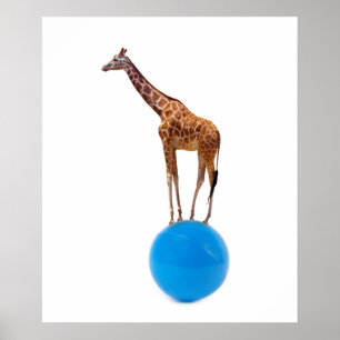 Poster Girafe sur le ballon