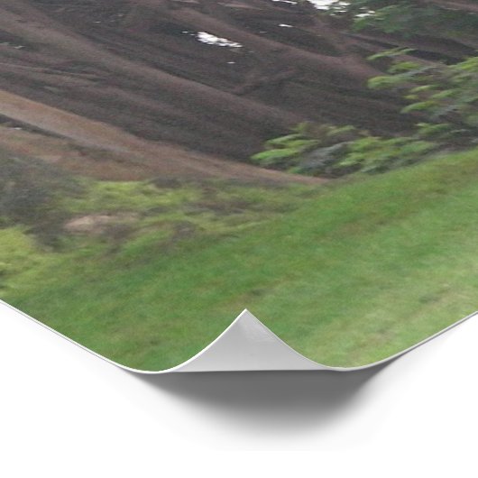 Poster girafes 002 toile (Coin)