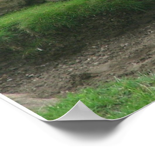 Poster girafes 005 toile (Coin)