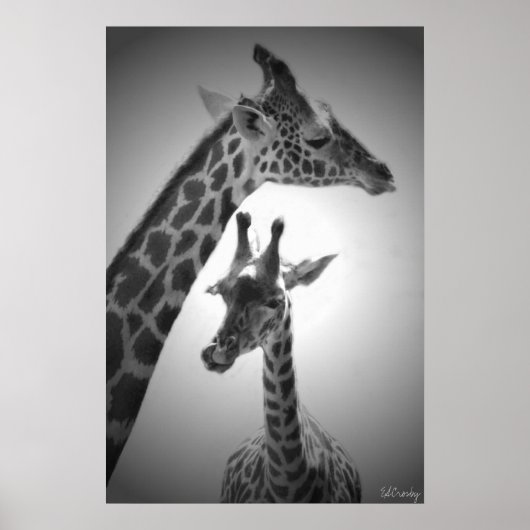 Poster girafes, mère et enfant (Devant)
