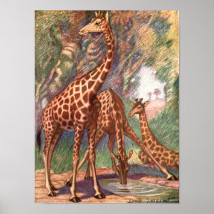 Poster Girafes par Louis Sargent, Animaux africains vinta