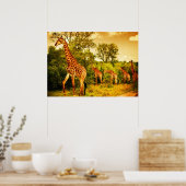 Poster girafes sud-africaines (Cuisine)