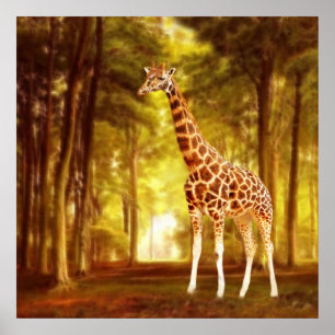 Poster Giraffe