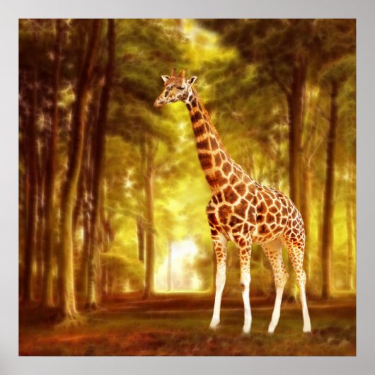Poster Giraffe (Devant)