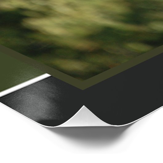 Poster Giraffe (Coin)