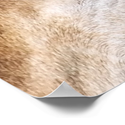 POSTER GIRAFFE (Coin)