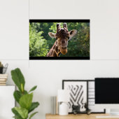 Poster Giraffe (Bureau à domicile)