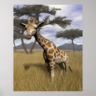 Poster Giraffe