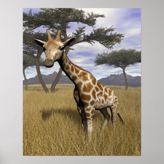 Poster Giraffe (Devant)