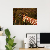 Poster Giraffe (Bureau à domicile)
