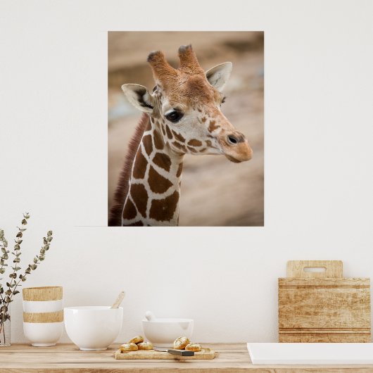 Poster Giraffe (Cuisine)