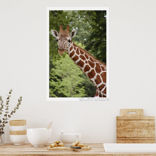 Poster Giraffe (Cuisine)
