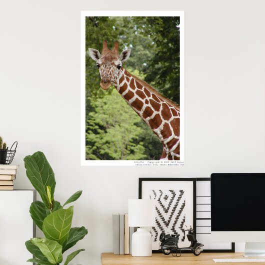Poster Giraffe (Bureau à domicile)