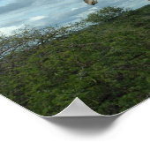 Poster Giraffe à Dusk (Coin)