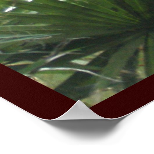 Poster Giraffe à midi (Coin)