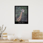 Poster Giraffe Afrique du Sud (Cuisine)