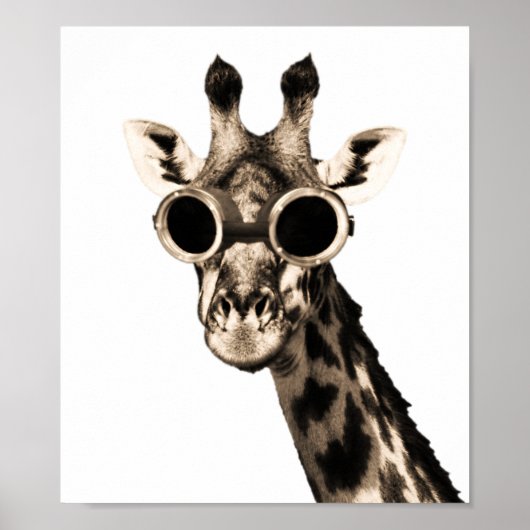 Poster Giraffe Avec Lunettes De Soleil Steampunk Lunettes (Devant)