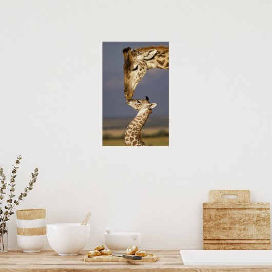 Poster Giraffe Baiser Bébé Giraffe (Cuisine)