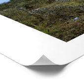 POSTER GIRAFFE EN AFRIQUE DU KENYA (Coin)