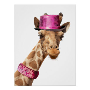 Poster Giraffe en casquette rose étincelant