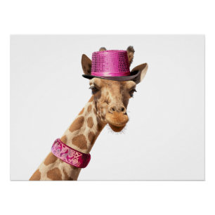 Poster Giraffe en casquette rose étincelant