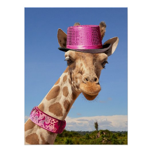 Poster Giraffe en casquette rose étincelant (Devant)