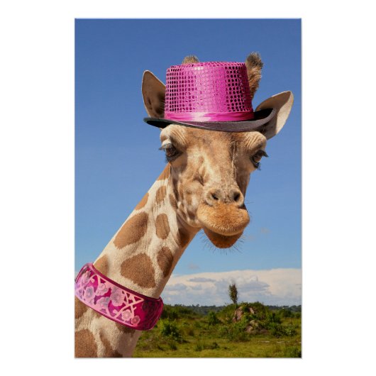 Poster Giraffe en casquette rose étincelant (Devant)